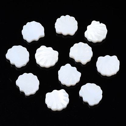 Natural Freshwater Shell Beads, Shell