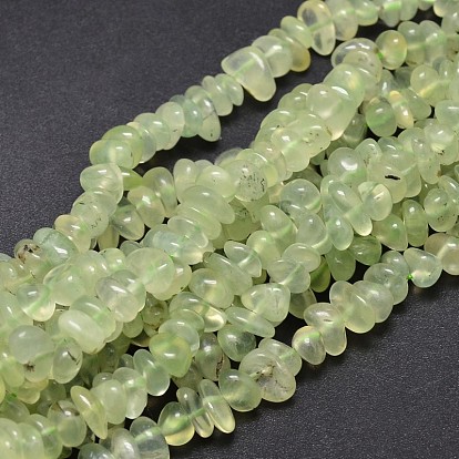Prehnite naturales Cuentas de chips hebras, 5~14x4~10 mm, agujero: 1 mm, aproximadamente 15.5 pulgada ~ 16.1 pulgada