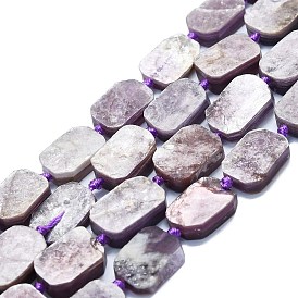 Perles naturelles de perles de lépidolite, rectangle