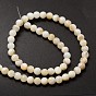 Natural Freshwater Shell Round Bead Strands, 6mm, Hole: 1mm, about 62pcs/strand, 14.5 inch