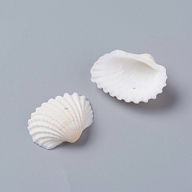 Natural Freshwater Shell Beads, Shell Shape