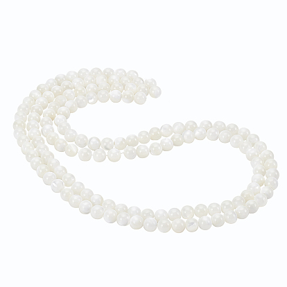 2 Strands Natural Trochid Shell/Trochus Shell Beads Strands, Round