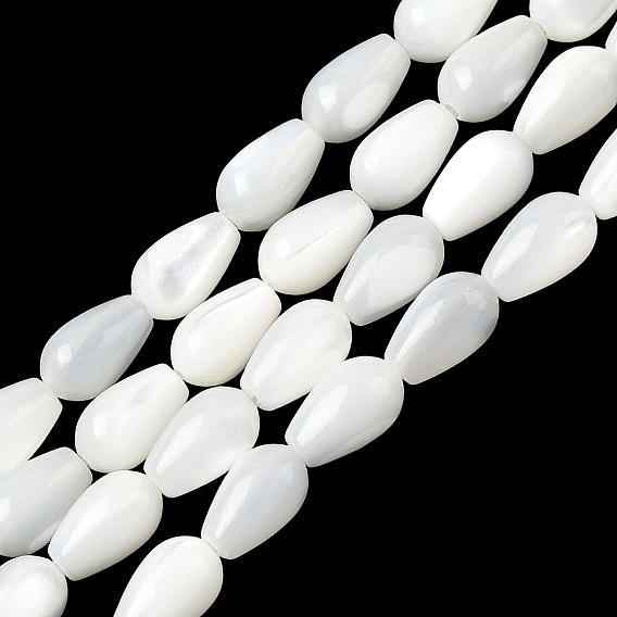Natural White Shell Beads Strands, Teardrop