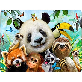 Realistic Lovely Animal Panda Raccoon Sloth 5D Diamond Painting Kits for Kids and Adult Beginners, DIY Full Round Drill Picture Art, Rhinestone Gem Paint Kits for Home Wall Decor