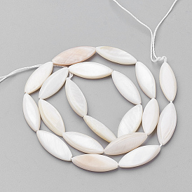 Natural Shell Beads Strands, Shuttle