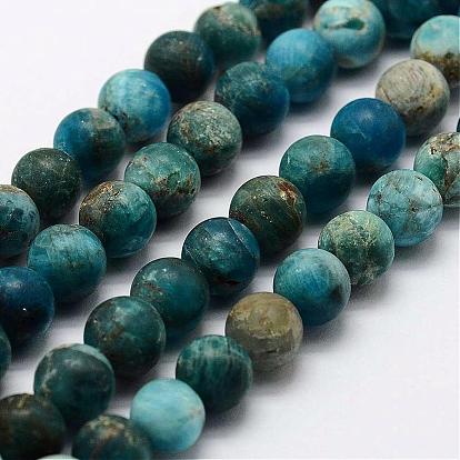 Natural Apatite Beads Strands, Round, Frosted