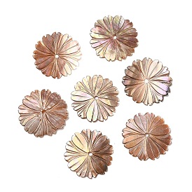 Natural Sea Shell Beads, Flower