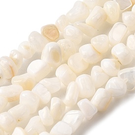 Естественных пресноводных оболочки бисер нитей, самородки