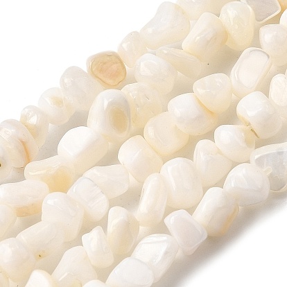 Естественных пресноводных оболочки бисер нитей, самородки