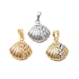 Латунные подвески, без кадмия и без свинца, с микро проложить кубического циркония, формы раковины