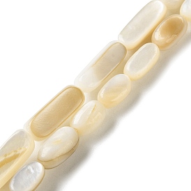 Натуральные бусины из ракушек трохуса, овальные