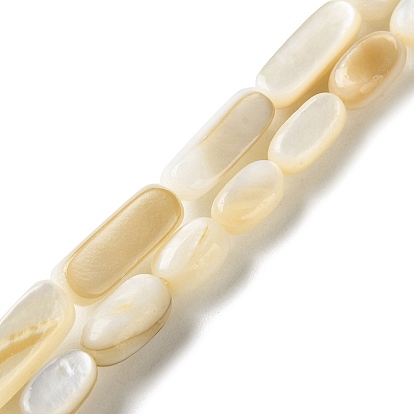 Натуральные бусины из ракушек трохуса, овальные