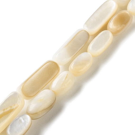 Натуральные бусины из ракушек трохуса, овальные