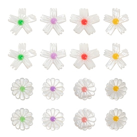 16 pcs 8 perles de coquillage d'eau douce naturelles de style, avec l'émail, fleur