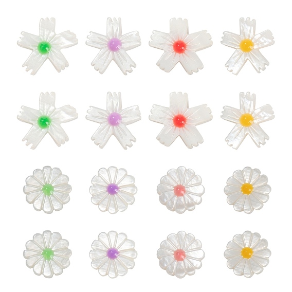 16 pcs 8 perles de coquillage d'eau douce naturelles de style, avec l'émail, fleur