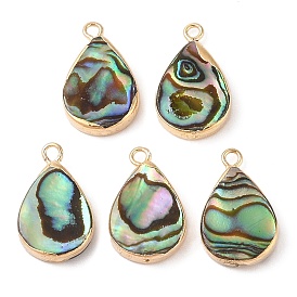 Natural Paua Shell Pendants, Teardrop Charms with Brass Edge