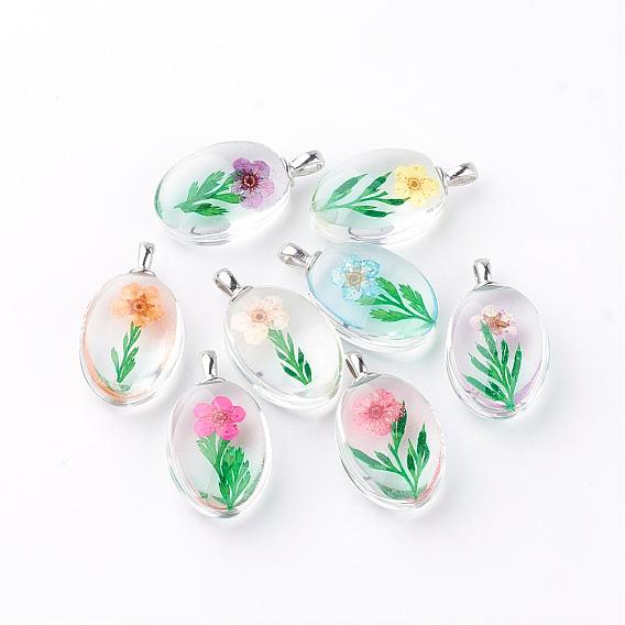 Glass Pendants, with Dried Flower Inside, Oval, Platinum