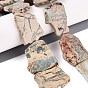 Natural Shoushan Stone Slice Beads Strands, Nuggets