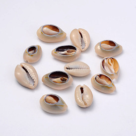 Perles de coquillage cauri naturelles, ovale