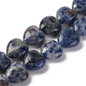 Natural Blue Spot Jasper Beads Strands, Heart