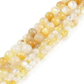 Natural Trochus Shell Beads Strands, Round