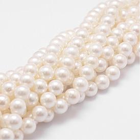 Rainbow Plated Shell Pearl Bead Strands, Grade A, Round