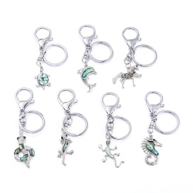 Natural Sea Shell Keychain, with Rhinestone, Brass Lobster Claw Clasps and Split Key Rings, Mixed Shapes