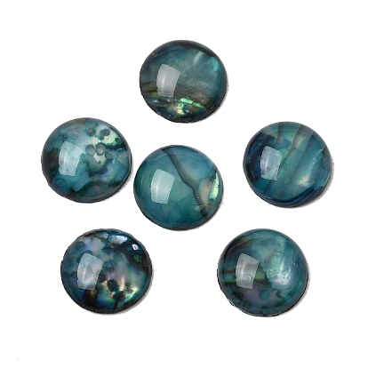 Abalone-Muschel / Paua-Muschel-Cabochons, halbrund / Dome