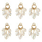 6Pcs Natural Cultured Freshwater Pearl Rice Beaded Pendants, Teardrop Charms, with 304 Stainless Steel Flat Head Pins, Golden