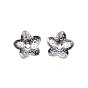 201 Stainless Steel Bead Caps, Flower, 5-Petal