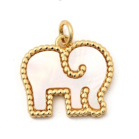 Подвески из латуни с натуральными белыми ракушками, Слон прелести, без свинца и без кадмия, долговечный, стойки покрытие, цвет морской раковины
