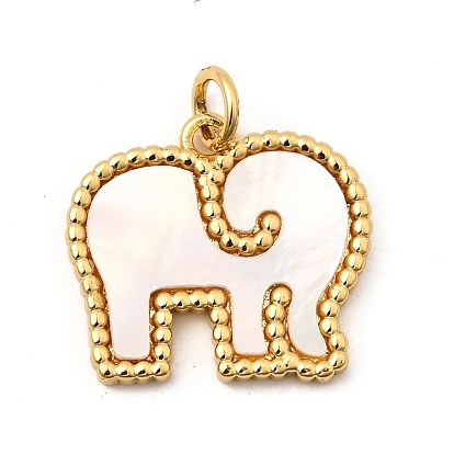 Подвески из латуни с натуральными белыми ракушками, Слон прелести, без свинца и без кадмия, долговечный, стойки покрытие, цвет морской раковины
