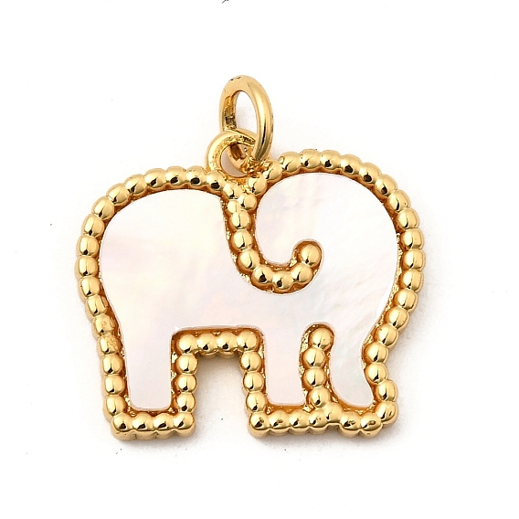 Подвески из латуни с натуральными белыми ракушками, Слон прелести, без свинца и без кадмия, долговечный, стойки покрытие, цвет морской раковины