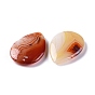 Natural Red Agate Beads, No Hole/Undrilled, for Wire Wrapped Pendant Making, Teardrop