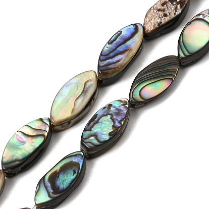 Natural Abalone Shell Paua Shell Beads Strands, Horse Eye