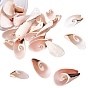 Natural Freshwater Shell Beads