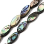 Natural Abalone Shell Paua Shell Beads Strands, Horse Eye