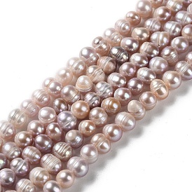 Natural Cultured Freshwater Pearl Beads Strands, Potato, Grade A+