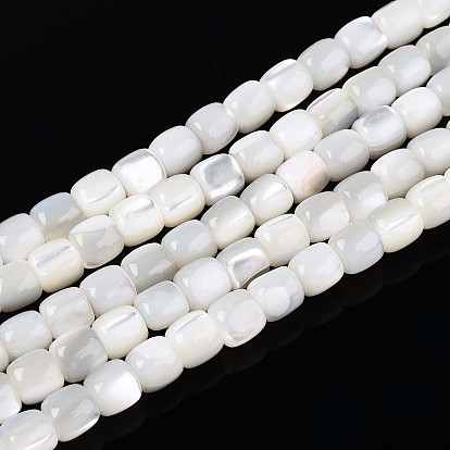 Натуральная оболочка из трохидных оболочек, колонка