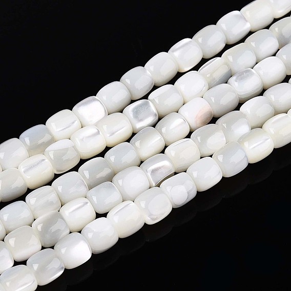 Натуральная оболочка из трохидных оболочек, колонка