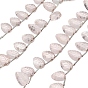 Natural Rose Quartz Carved Beads Strands, Leaf, Top Drilled, with Tassel