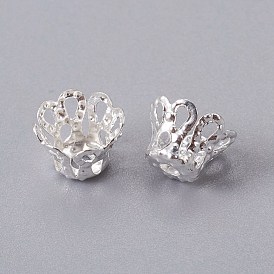 Железный шарик крышки