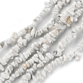 Natural Howlite Beads Strands, Chip