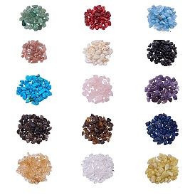 Gemstone Chips Beads, Natural Green Aventurine, Sunstone, Natural Jade, Natural Red Jasper, Smoky Quartz, Citrine, Aquamarine, Lapis Lazuli, Synthetic Turquoise, Freshwater Shell