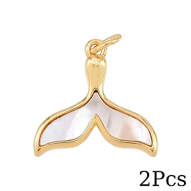 2Подвески из натуральных белых ракушек, с латунной, реальный 18 k позолоченный, с прыжковых колец, долговечный, без свинца и без кадмия, стойки покрытие, белые