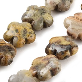 Natural Crazy Agate Beads Strands, Flower