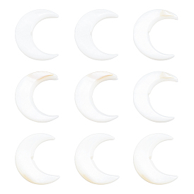 Natural Freshwater Shell Beads, Double Horn/Crescent Moon