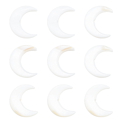 Natural Freshwater Shell Beads, Double Horn/Crescent Moon