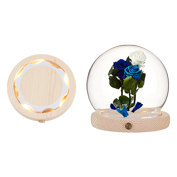 Стеклянный купол, декоративная витрина, Террариум в виде стеклянного колпака с деревянной подставкой и светодиодной подсветкой.