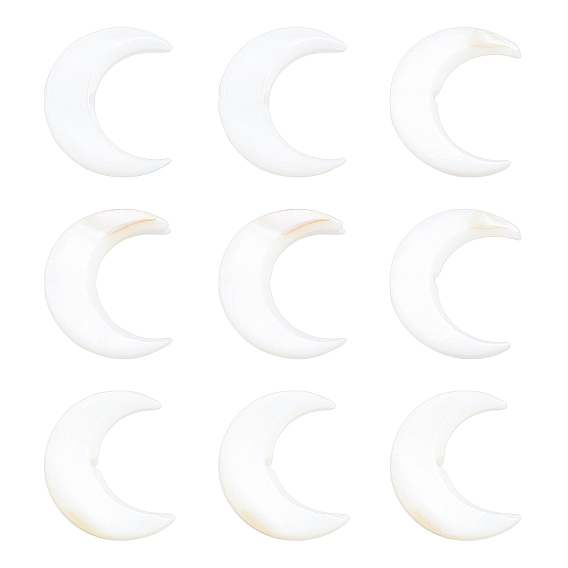 Natural Freshwater Shell Beads, Double Horn/Crescent Moon